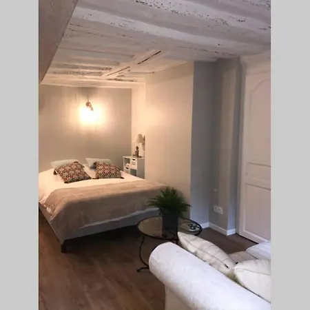 La P'tite Grise - Cosy Centre Apartamento