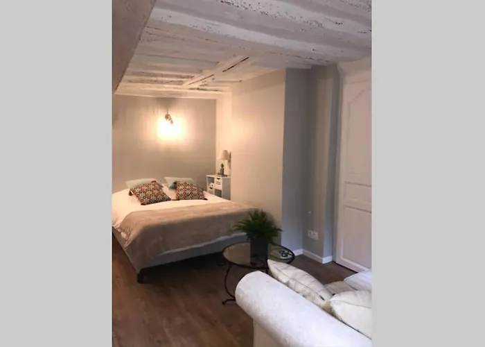 La P'tite Grise - Cosy Centre アパート