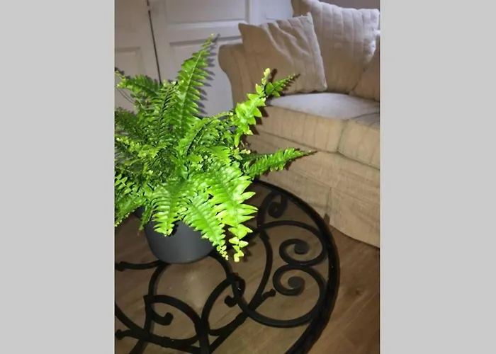 La P'tite Grise - Cosy Centre Apartment Honfleur