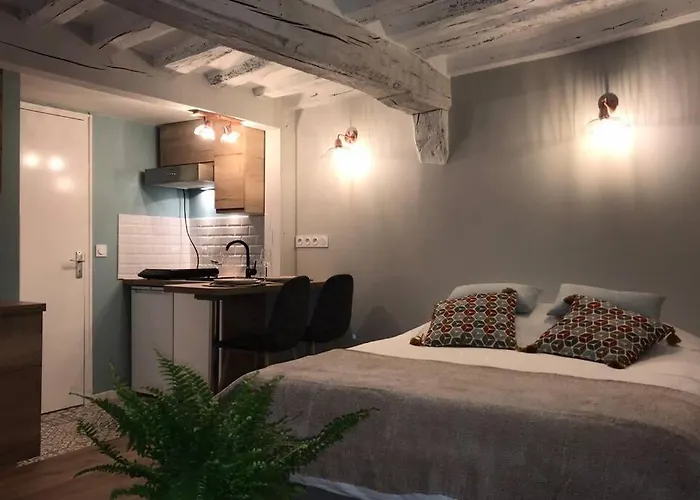 La P'tite Grise - Cosy Centre Apartment